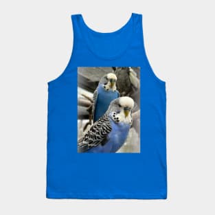 Blue Budgies Tank Top